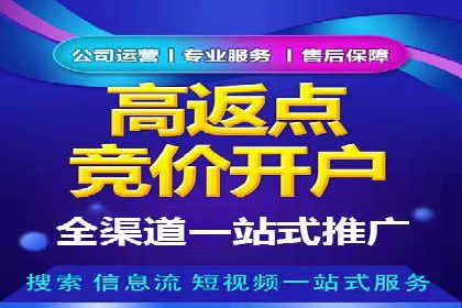 百度竞价排名实战：某行业领先企业的成功之路
